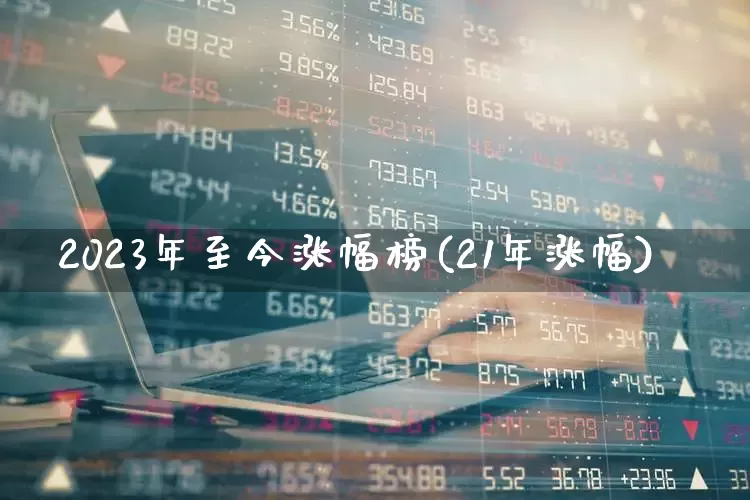 2023年至今涨幅榜(21年涨幅)_https://www.syklpowerbike.com_深交所_第1张