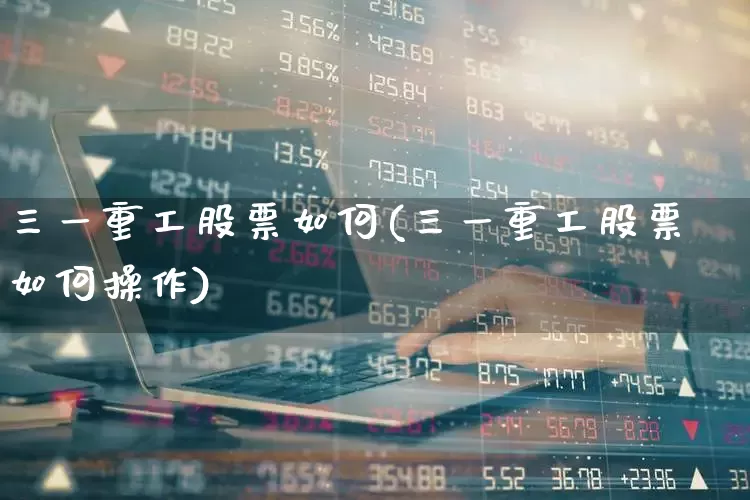 三一重工股票如何(三一重工股票如何操作)_https://www.syklpowerbike.com_北交所_第1张