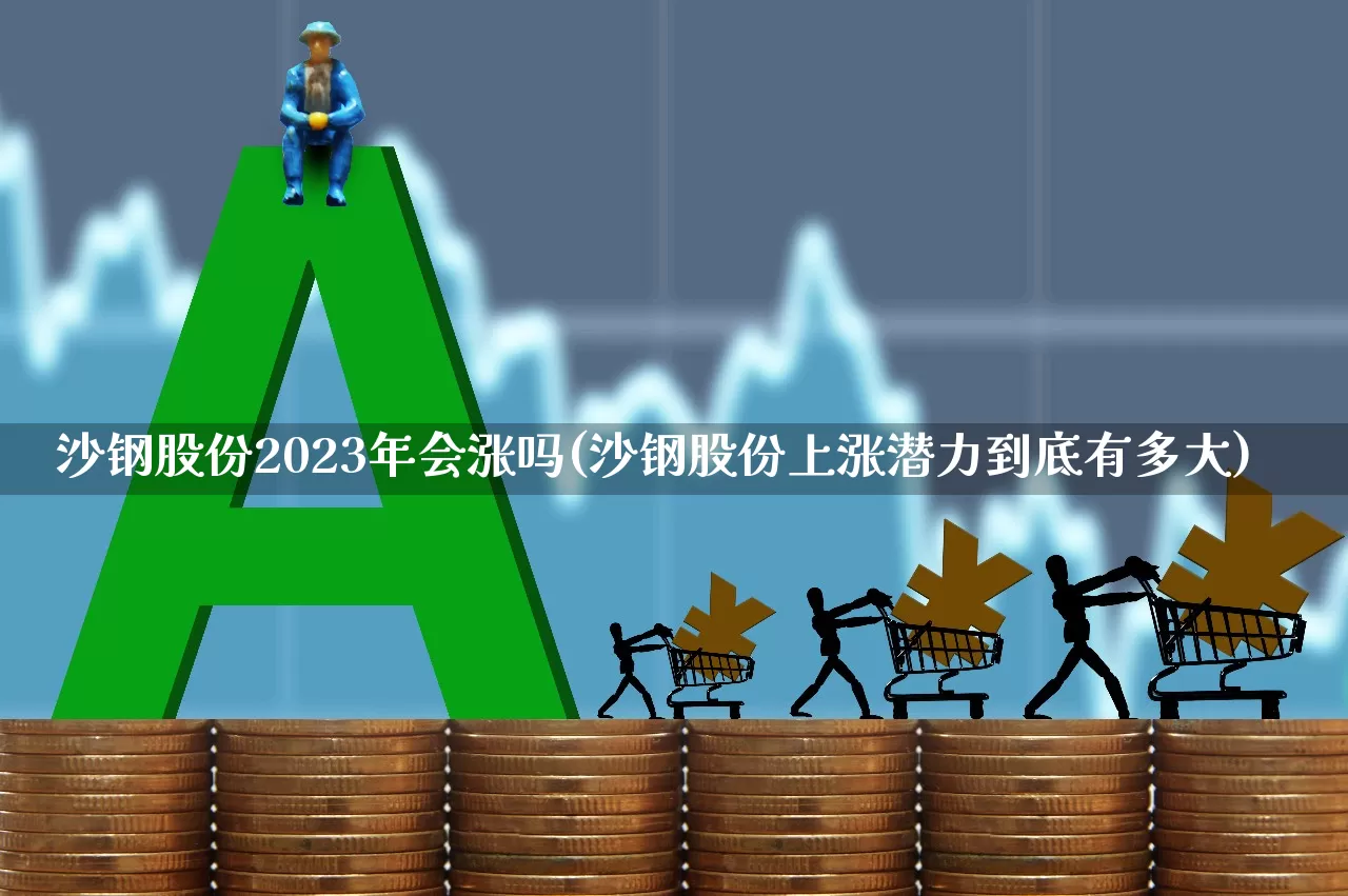 沙钢股份2023年会涨吗(沙钢股份上涨潜力到底有多大)_https://www.syklpowerbike.com_科创板_第1张
