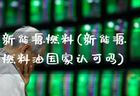 新能源燃料(新能源燃料油国家认可吗)_北交所_第1张_财经网 新能源燃料(新能源燃料油国家认可吗)_https://www.syklpowerbike.com_北交所_第1张