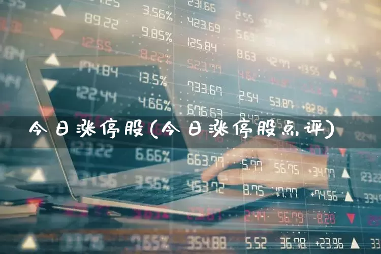 今日涨停股(今日涨停股点评)_https://www.syklpowerbike.com_创业板_第1张