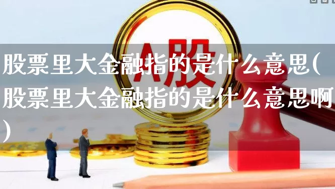 股票里大金融指的是什么意思(股票里大金融指的是什么意思啊)_https://www.syklpowerbike.com_创业板_第1张