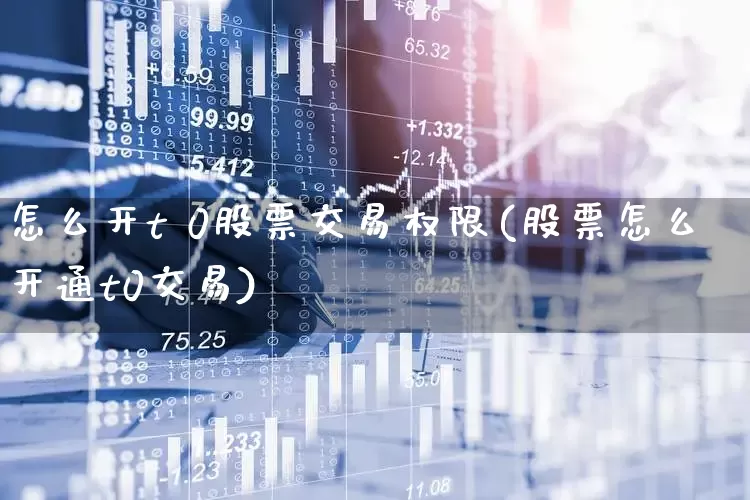 怎么开t 0股票交易权限(股票怎么开通t0交易)_https://www.syklpowerbike.com_北交所_第1张