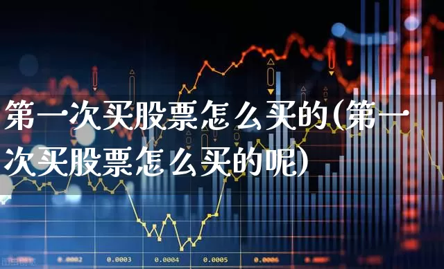 第一次买股票怎么买的(第一次买股票怎么买的呢)_https://www.syklpowerbike.com_上交所_第1张