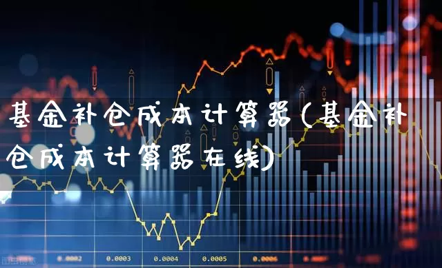 基金补仓成本计算器(基金补仓成本计算器在线)_https://www.syklpowerbike.com_科创板_第1张
