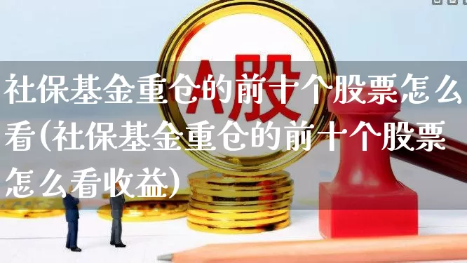 社保基金重仓的前十个股票怎么看(社保基金重仓的前十个股票怎么看收益)_https://www.syklpowerbike.com_科创板_第1张