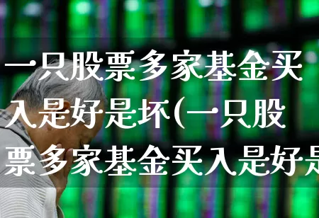 一只股票多家基金买入是好是坏(一只股票多家基金买入是好是坏呢)_https://www.syklpowerbike.com_科创板_第1张