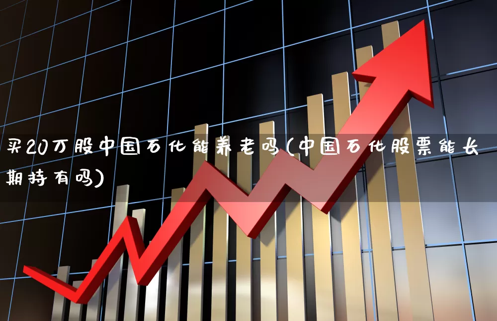 买20万股中国石化能养老吗(中国石化股票能长期持有吗)_https://www.syklpowerbike.com_深交所_第1张