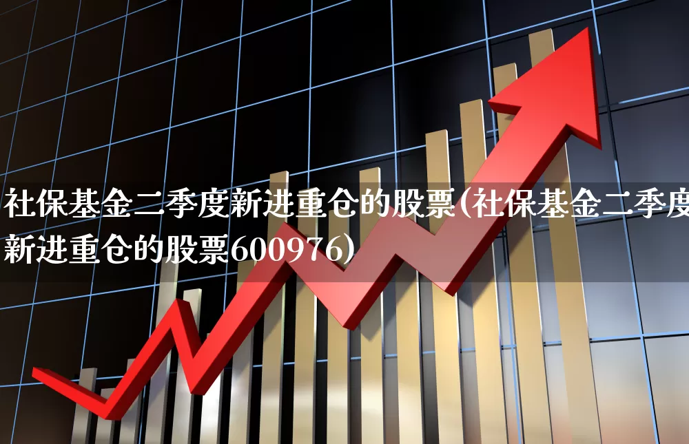 社保基金二季度新进重仓的股票(社保基金二季度新进重仓的股票600976)_https://www.syklpowerbike.com_上交所_第1张