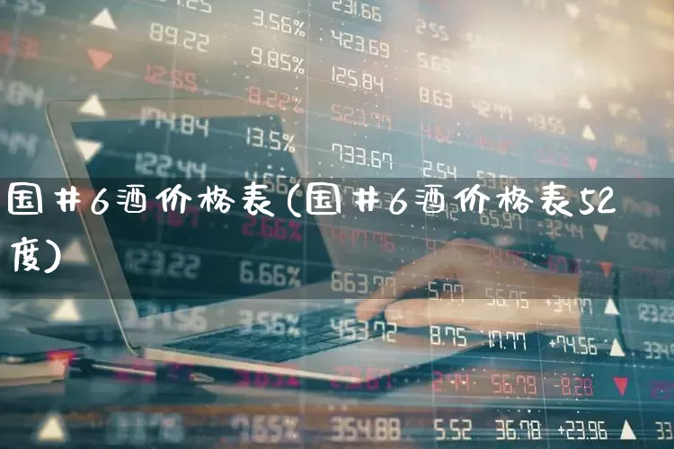 国井6酒价格表(国井6酒价格表52度)_https://www.syklpowerbike.com_创业板_第1张