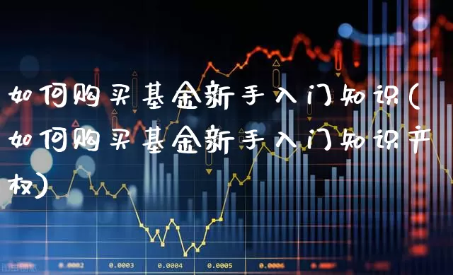 如何购买基金新手入门知识(如何购买基金新手入门知识产权)_https://www.syklpowerbike.com_科创板_第1张