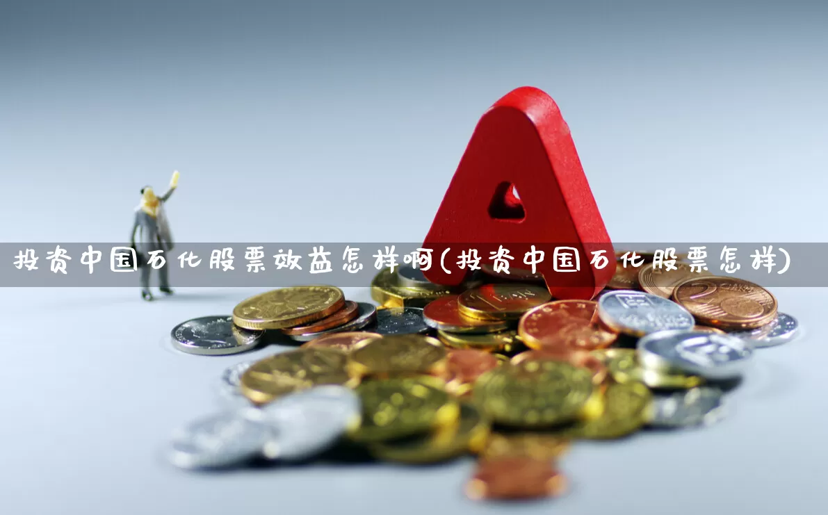 投资中国石化股票效益怎样啊(投资中国石化股票怎样)_https://www.syklpowerbike.com_科创板_第1张