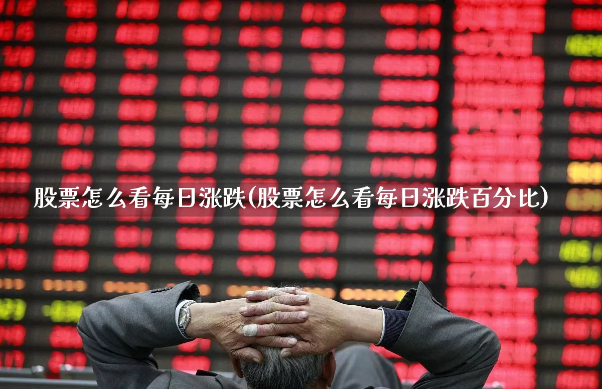 股票怎么看每日涨跌(股票怎么看每日涨跌百分比)_https://www.syklpowerbike.com_深交所_第1张