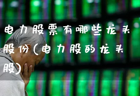 电力股票有哪些龙头股份(电力股的龙头股)_https://www.syklpowerbike.com_上交所_第1张