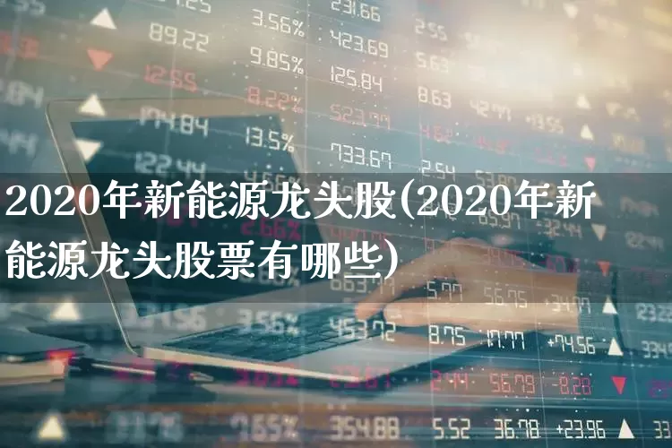 2020年新能源龙头股(2020年新能源龙头股票有哪些)_https://www.syklpowerbike.com_上交所_第1张