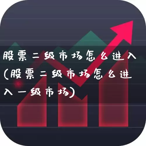股票二级市场怎么进入(股票二级市场怎么进入一级市场)_https://www.syklpowerbike.com_深交所_第1张