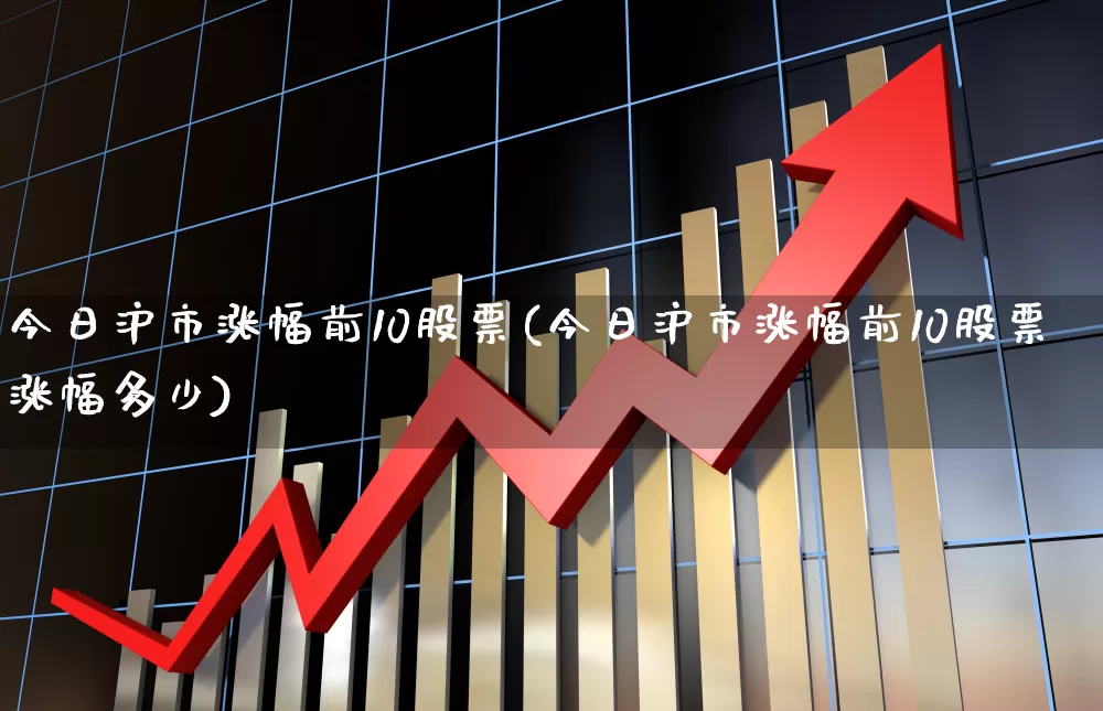 今日沪市涨幅前10股票(今日沪市涨幅前10股票涨幅多少)_https://www.syklpowerbike.com_北交所_第1张