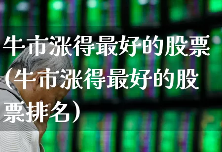 牛市涨得最好的股票(牛市涨得最好的股票排名)_https://www.syklpowerbike.com_科创板_第1张