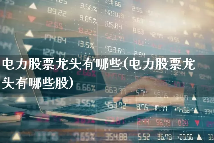 电力股票龙头有哪些(电力股票龙头有哪些股)_https://www.syklpowerbike.com_上交所_第1张