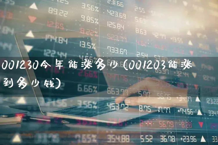 001230今年能涨多少(001203能涨到多少钱)_https://www.syklpowerbike.com_科创板_第1张