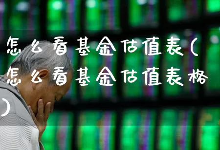 怎么看基金估值表(怎么看基金估值表格)_https://www.syklpowerbike.com_北交所_第1张