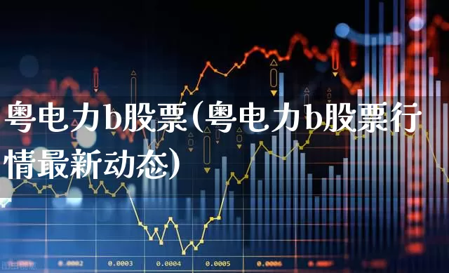 粤电力b股票(粤电力b股票行情最新动态)_https://www.syklpowerbike.com_北交所_第1张