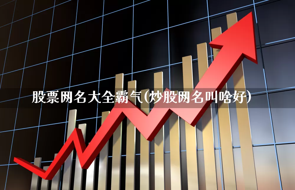 股票网名大全霸气(炒股网名叫啥好)_https://www.syklpowerbike.com_深交所_第1张