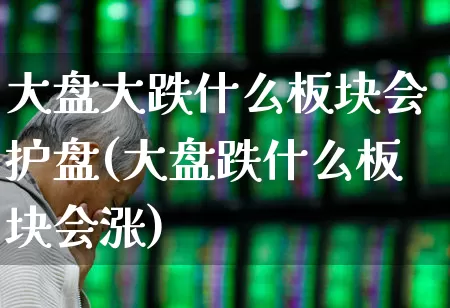 大盘大跌什么板块会护盘(大盘跌什么板块会涨)_https://www.syklpowerbike.com_科创板_第1张