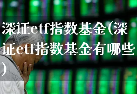 深证etf指数基金(深证etf指数基金有哪些)_https://www.syklpowerbike.com_上交所_第1张