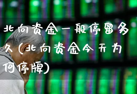 北向资金一般停留多久(北向资金今天为何停牌)_https://www.syklpowerbike.com_创业板_第1张