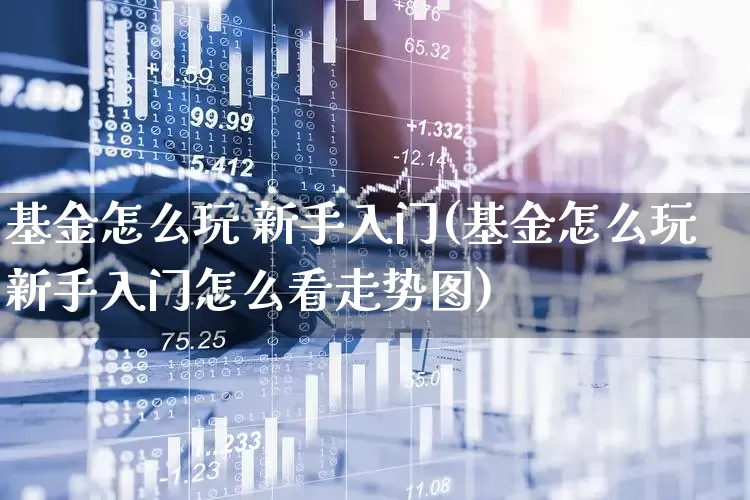 基金怎么玩 新手入门(基金怎么玩新手入门怎么看走势图)_https://www.syklpowerbike.com_深交所_第1张