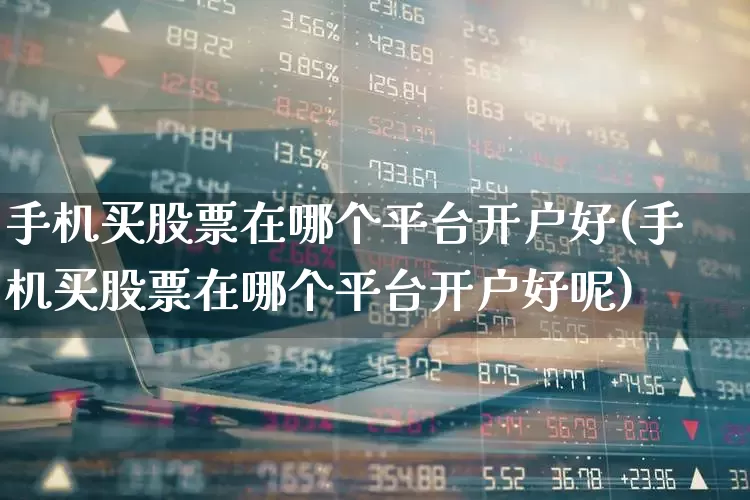 手机买股票在哪个平台开户好(手机买股票在哪个平台开户好呢)_https://www.syklpowerbike.com_创业板_第1张