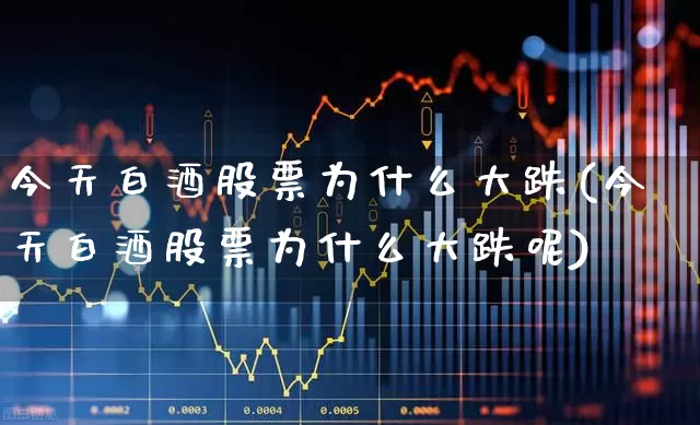 今天白酒股票为什么大跌(今天白酒股票为什么大跌呢)_https://www.syklpowerbike.com_创业板_第1张