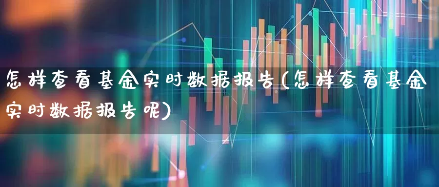 怎样查看基金实时数据报告(怎样查看基金实时数据报告呢)_https://www.syklpowerbike.com_创业板_第1张