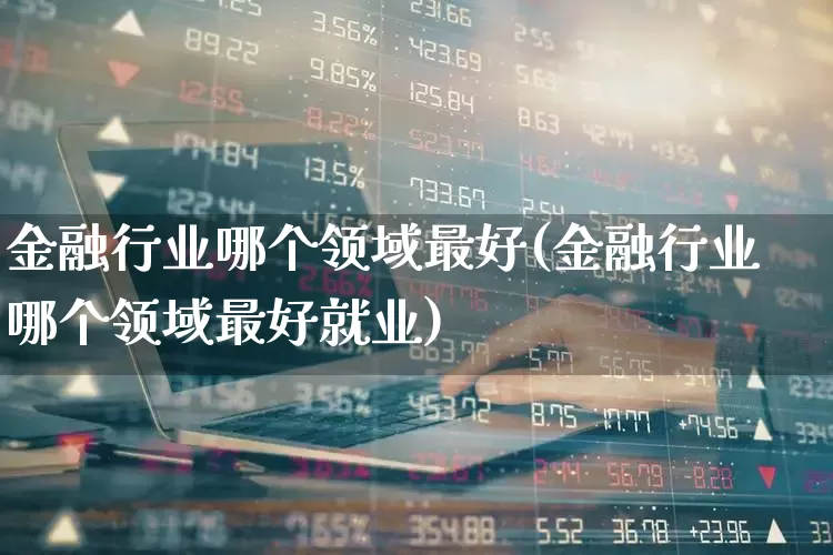 金融行业哪个领域最好(金融行业哪个领域最好就业)_https://www.syklpowerbike.com_科创板_第1张