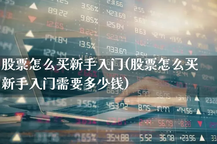 股票怎么买新手入门(股票怎么买新手入门需要多少钱)_https://www.syklpowerbike.com_科创板_第1张