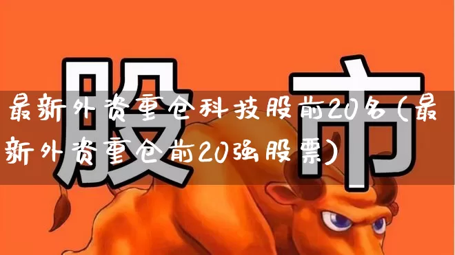 最新外资重仓科技股前20名(最新外资重仓前20强股票)_https://www.syklpowerbike.com_北交所_第1张