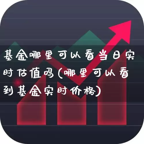 基金哪里可以看当日实时估值吗(哪里可以看到基金实时价格)_https://www.syklpowerbike.com_科创板_第1张