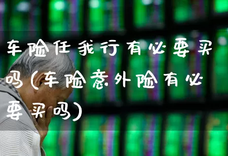 车险任我行有必要买吗(车险意外险有必要买吗)_https://www.syklpowerbike.com_创业板_第1张