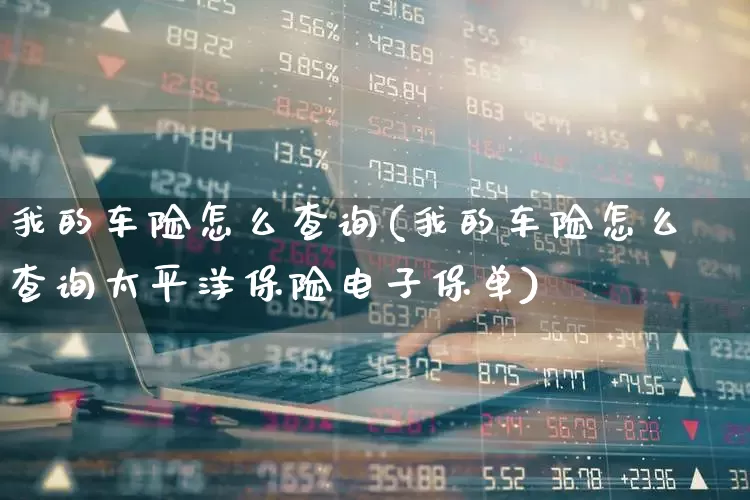 我的车险怎么查询(我的车险怎么查询太平洋保险电子保单)_https://www.syklpowerbike.com_创业板_第1张