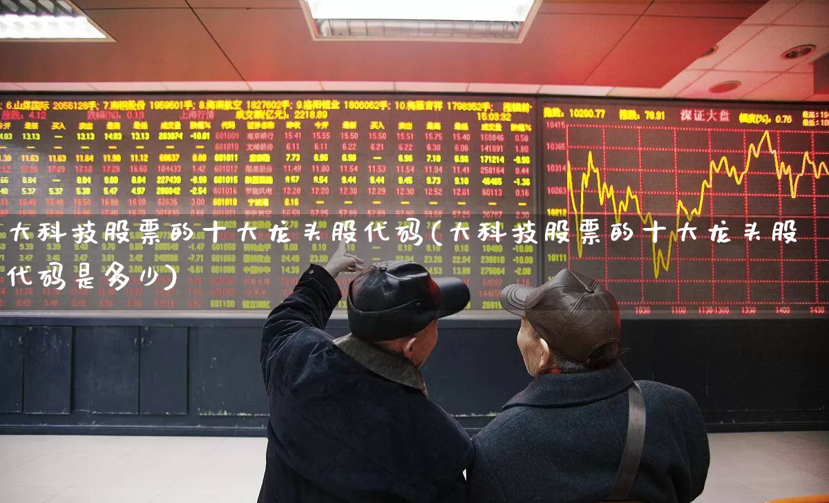 大科技股票的十大龙头股代码(大科技股票的十大龙头股代码是多少)_https://www.syklpowerbike.com_科创板_第1张