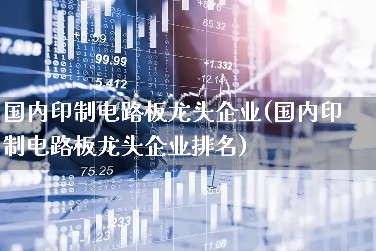 国内印制电路板龙头企业(国内印制电路板龙头企业排名)_https://www.syklpowerbike.com_上交所_第1张