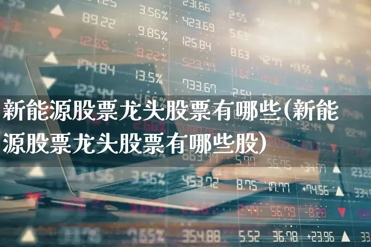新能源股票龙头股票有哪些(新能源股票龙头股票有哪些股)_https://www.syklpowerbike.com_上交所_第1张
