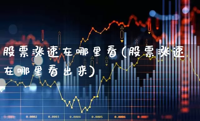 股票涨速在哪里看(股票涨速在哪里看出来)_https://www.syklpowerbike.com_科创板_第1张