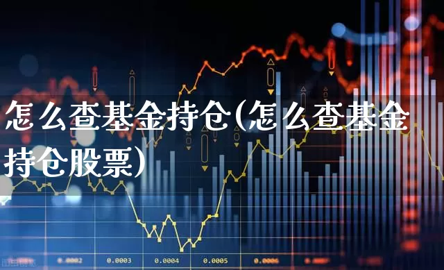 怎么查基金持仓(怎么查基金持仓股票)_https://www.syklpowerbike.com_深交所_第1张