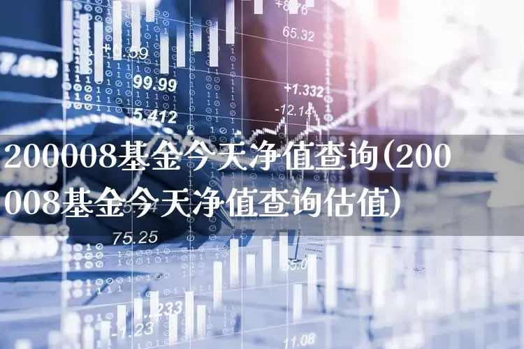 200008基金今天净值查询(200008基金今天净值查询估值)_https://www.syklpowerbike.com_深交所_第1张