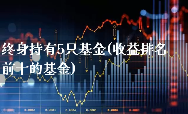 终身持有5只基金(收益排名前十的基金)_https://www.syklpowerbike.com_北交所_第1张
