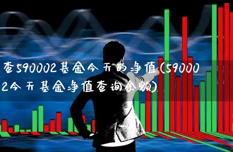 查590002基金今天的净值(590002今天基金净值查询余额)_https://www.syklpowerbike.com_深交所_第1张