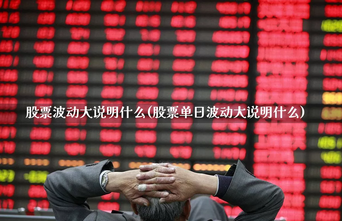 股票波动大说明什么(股票单日波动大说明什么)_https://www.syklpowerbike.com_创业板_第1张