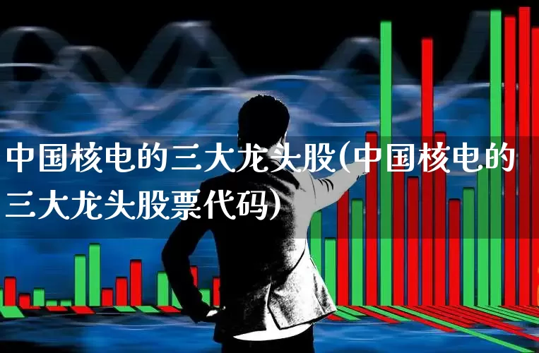 中国核电的三大龙头股(中国核电的三大龙头股票代码)_https://www.syklpowerbike.com_创业板_第1张